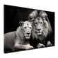 Wandbild Kunstwerk Löwen Beautiful Lions schwarz weiß